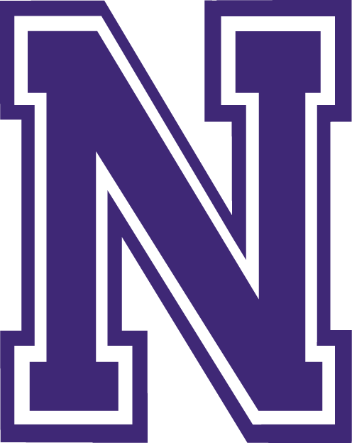 Northwestern State Demons 2000-2007 Alternate Logo diy iron on heat transfer